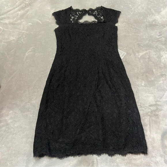 Adrianna Papell Black Lace Mini Dress - Picture 3 of 13